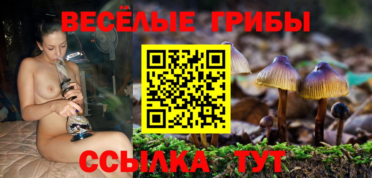Галлюциногенные грибы ЛСД Выборг